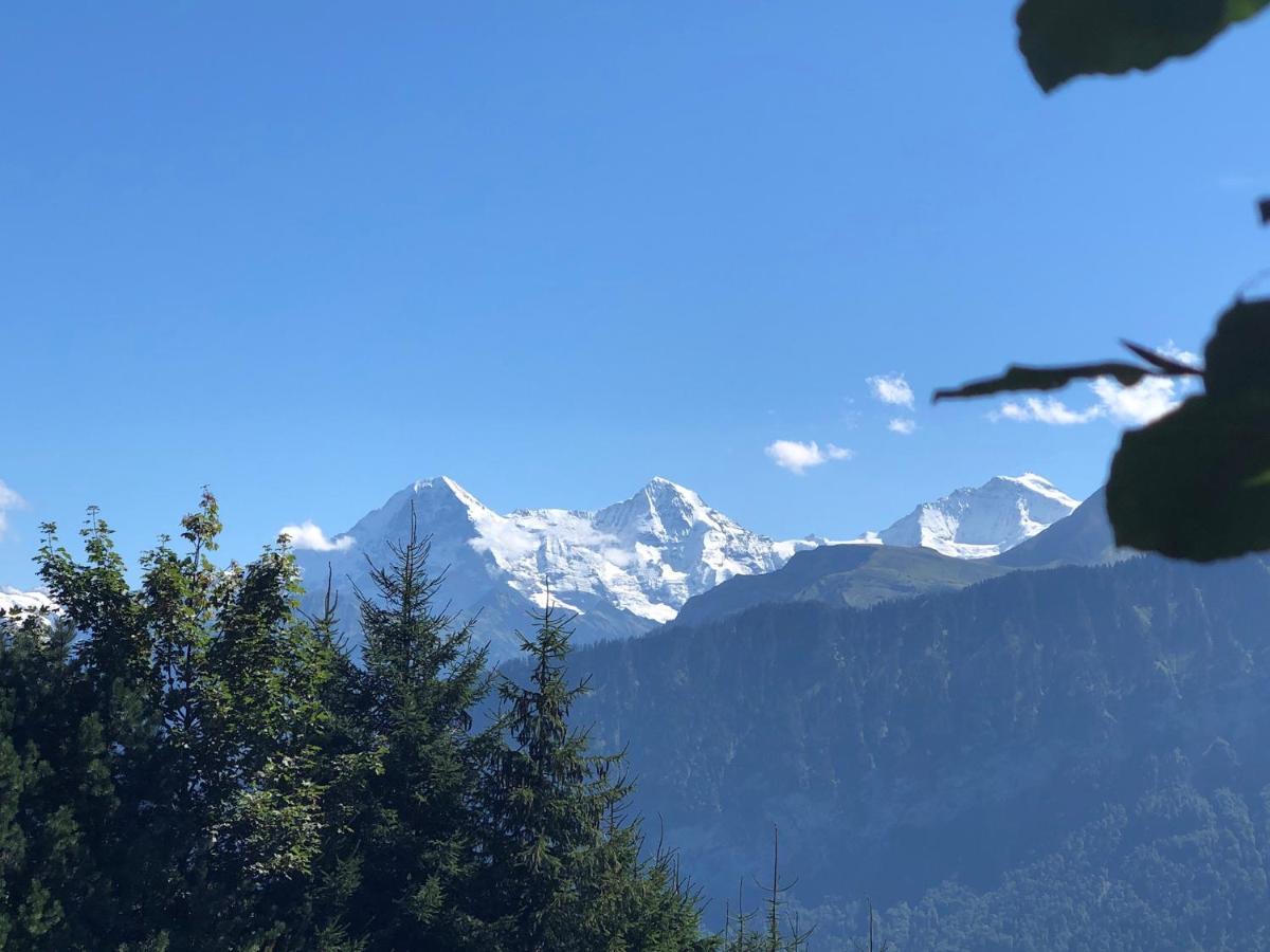 Wohnung Mit See Und Bergsicht Im Vier Sterne Hotel Beatenberg Exteriér fotografie